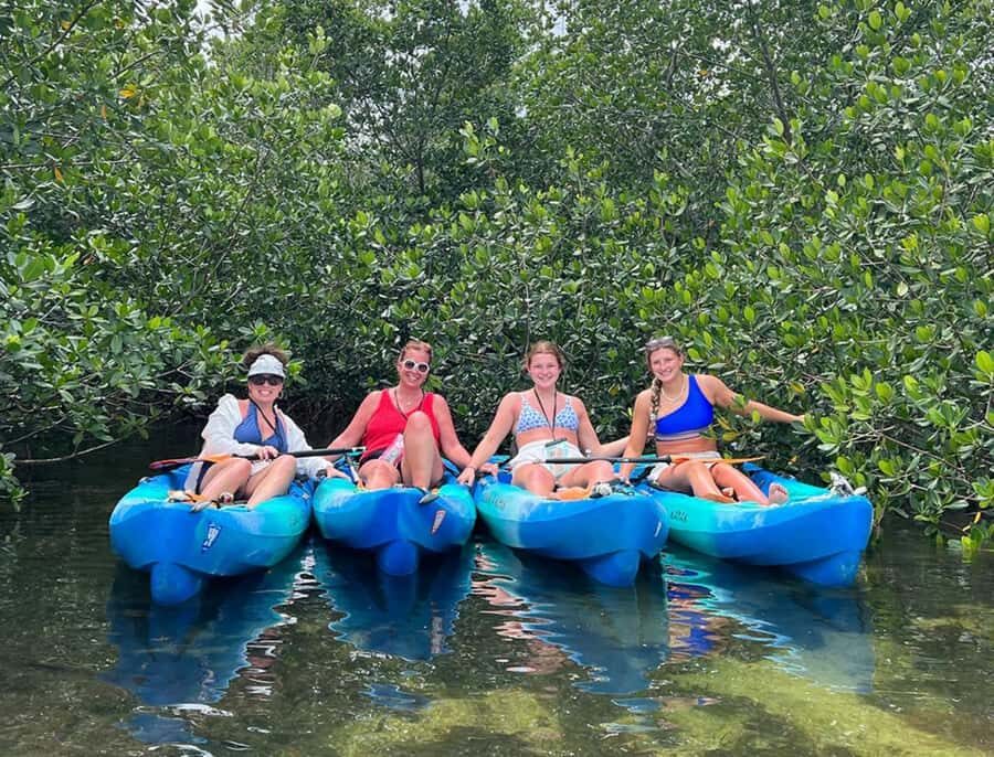 Key West: 2-hour Mangrove Kayak Tour - Cow Key Marina Start: Where the Tour Keeps It Simple