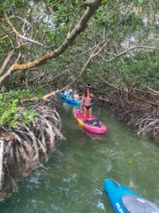 Key West: 2-hour Mangrove Kayak Tour - Mangrove Tunnels and Canals: How Two Hours Feels on the Water