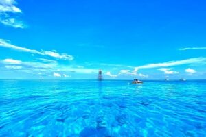 Key West 2 Reef Snorkel Tour & Sunset Cruise with Beer & Wine - Meeting at 201 William St without the stress spiral