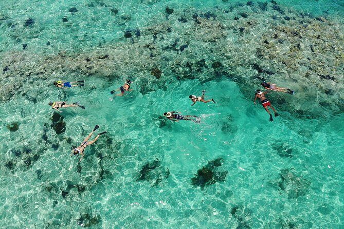 Key West 2 Reef Snorkel Tour & Sunset Cruise with Beer & Wine - Boat comfort: great for photos, sometimes tight for seating