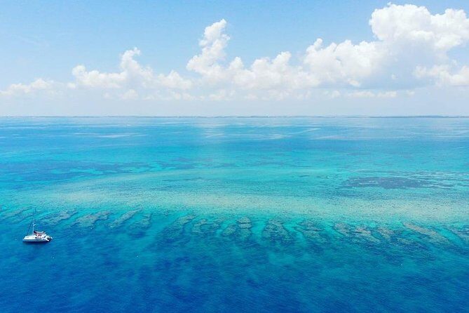 Key West 2 Reef Snorkel Tour & Sunset Cruise with Beer & Wine - Price and value: how $69.95 stacks up in Key West