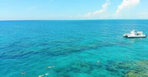 Key West: 2 Reef Snorkel With Sunset Cruise, Includes Drinks - Two Reef Stops: What You’ll Actually See Underwater