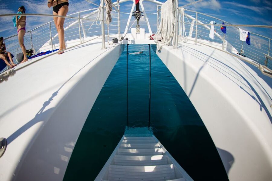 Key West: 2 Reef Snorkel With Sunset Cruise, Includes Drinks - The Catamaran Ride to Sunset: Drinks, Music, and Key West Views