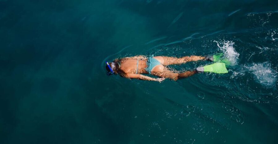 Key West: 3-Hour Afternoon Reef Snorkel with Drinks - Key West Reef Snorkel with Drinks: What the 3 Hours Actually Feels Like