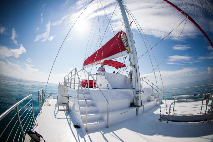 Key West: 3-Hour Afternoon Reef Snorkel with Drinks - Snorkel Coaching and Gear: Beginner-Friendly Without Feeling Babyish
