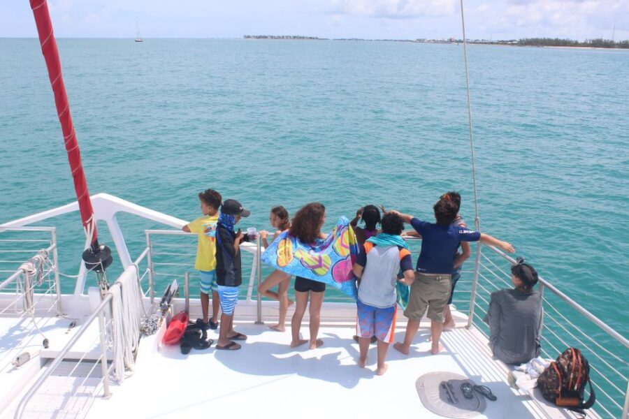 Key West: 3-Hour Afternoon Reef Snorkel with Drinks - Underwater Highlights: Fish, Turtles, Sharks, and the Fun Part You Can’t Fake