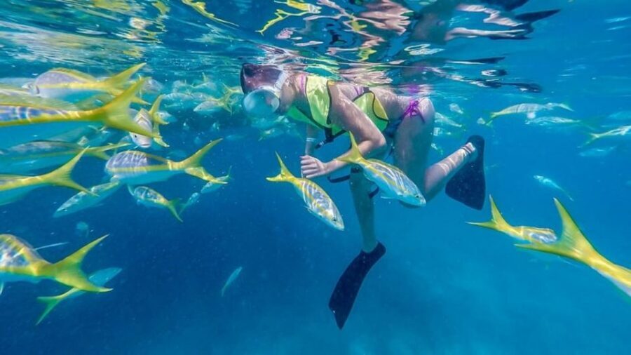 Key West: Afternoon Reef Snorkel Tour with Open Bar - Why this Key West Reef Snorkel Feels Worth It