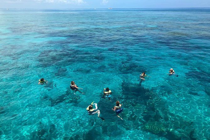 Key West Afternoon Reef Snorkeling with Open Bar - The open bar on the return: drinks, timing, and why it’s fun