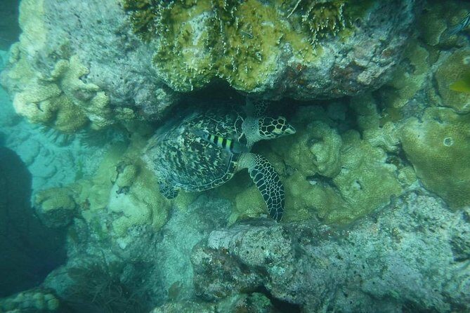 Key West Afternoon Reef Snorkeling with Open Bar - Meeting point and what to bring (so you don’t improvise)