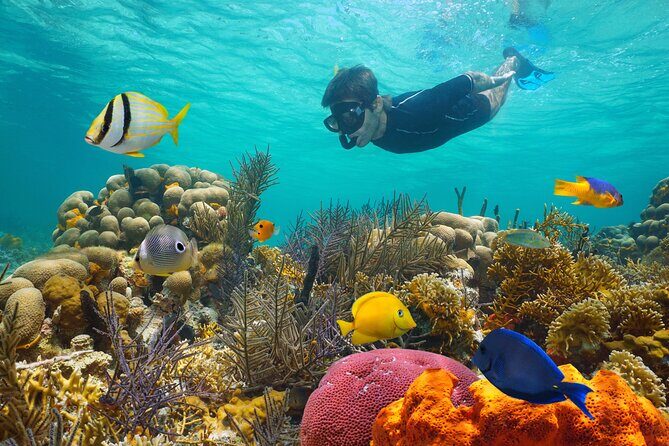 Key West Afternoon Reef Snorkeling with Open Bar - Snorkeling basics: gear, life vest, and a few tips that save time