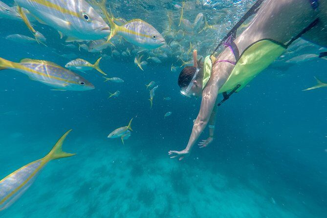 Key West Afternoon Snorkel Sail with Unlimited Cocktails! - The Marquesa Catamaran: Why This Boat Matters