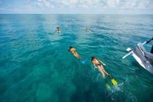 Key West Afternoon Snorkel Sail with Unlimited Cocktails! - Head to the Florida Reef: What You’re Actually Snorkeling