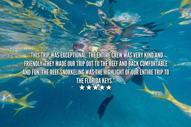 Key West Afternoon Snorkel Sail with Unlimited Cocktails! - Unlimited Cocktails After Snorkeling: Great Perks, with a Safety Reason