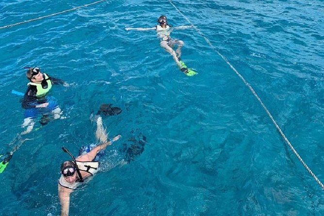 Key West Afternoon Snorkel Sail with Unlimited Cocktails! - Who Should Book This Snorkel Sail (and Who Might Want Something Different)