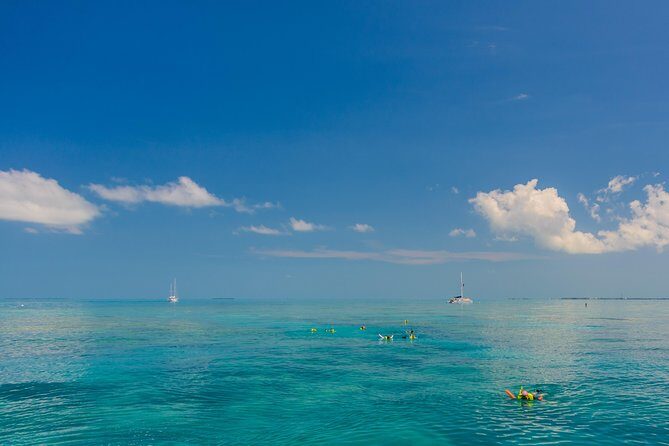 Key West Afternoon Snorkel Sail with Unlimited Cocktails! - Value Check: Is $59 a Fair Deal for This Plan?