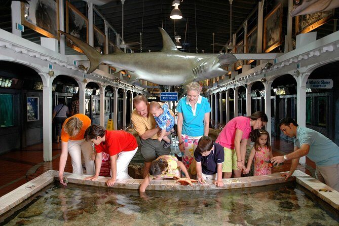 Key West Aquarium Admission - Price at $22.56: When it feels worth it (and when it won’t)
