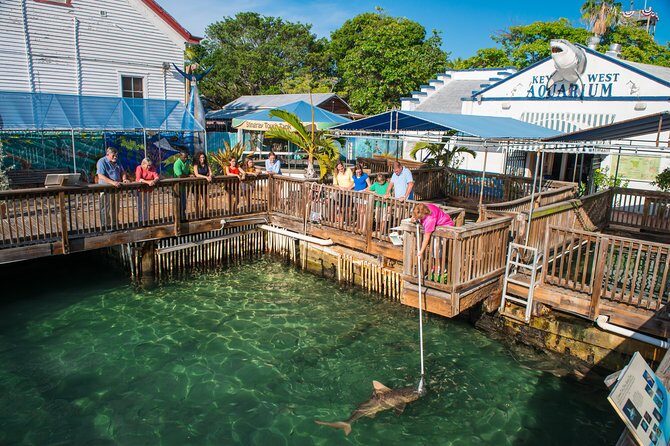 Key West Aquarium Admission - Aquarium history + small-space realism: Old photos, meaningful context, and quick pacing