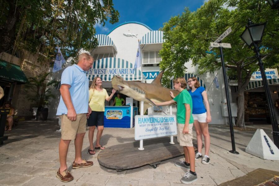 Key West Aquarium Tickets - Key West Aquarium Tickets: What You Actually Get