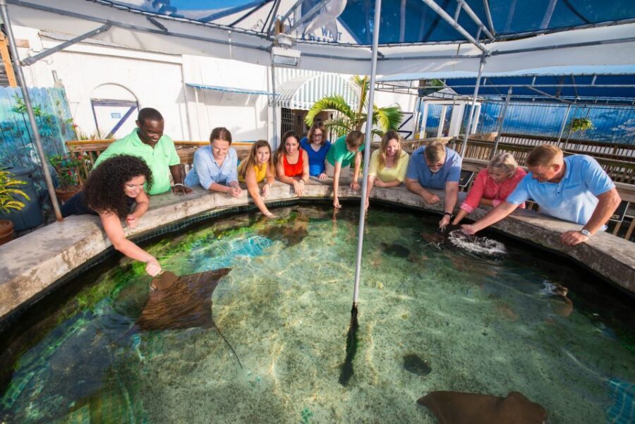 Key West Aquarium Tickets - “As Long as You Like” Isn’t the Whole Story
