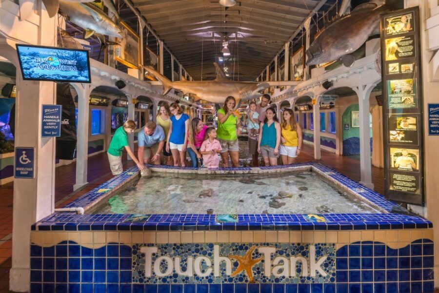 Key West Aquarium Tickets - Who This Ticket Suits Best
