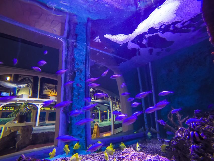 Key West Aquarium Tickets - Quick Practical Tips Before You Go