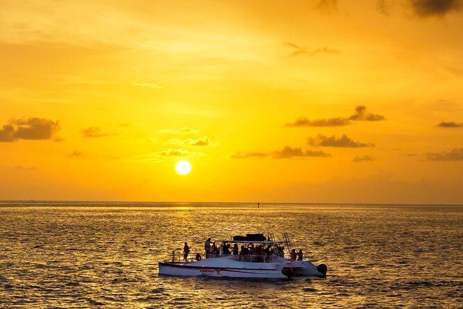 Key West Dolphin and Snorkel Experience - Key West Dolphin and Snorkel: The Stuff That Makes It Worth Your Time