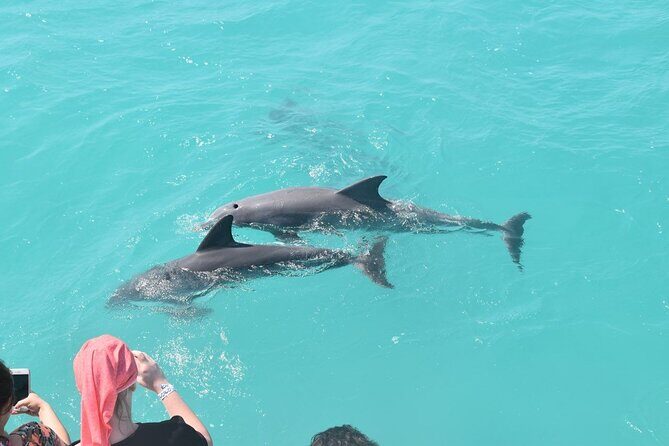Key West Dolphin and Snorkel Experience - Stop-by-Stop: Key West, Historic Seaport, Sanctuary Waters, and South Beach
