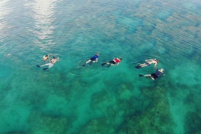 Key West Dolphin and Snorkel Experience - Comfort, Drinks, and What to Bring (So Chilly Water Doesn’t Ruin It)