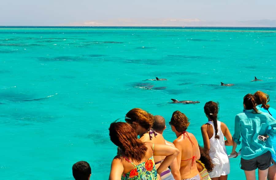 Key West: Dolphin & Reef Snorkel Trip with Sunset Option - Dolphin Playground: The part that makes the whole trip worth it