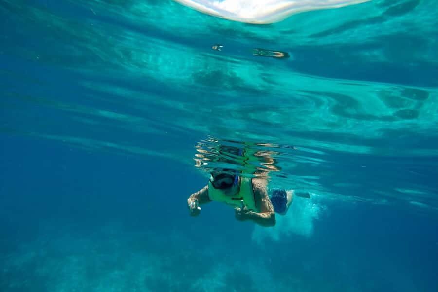 Key West: Dolphin & Reef Snorkel Trip with Sunset Option - What to bring, and what to watch for in real life