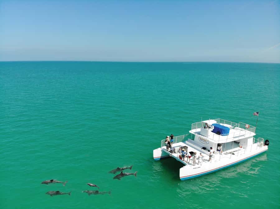 Key West: Dolphin & Reef Snorkel Trip with Sunset Option - The return cruise: unlimited draft beer and soft drinks
