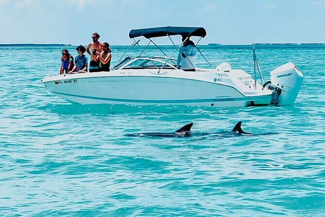 Key West Dolphin & Snorkeling Tour - Small Group - Key West Dolphin & Snorkeling Tour: The Highlights That Matter