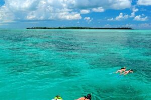 Key West Dolphin Watch and Snorkel Tour - Eco Adventure - Getting Oriented at Greene Street (And Why Timing Matters)