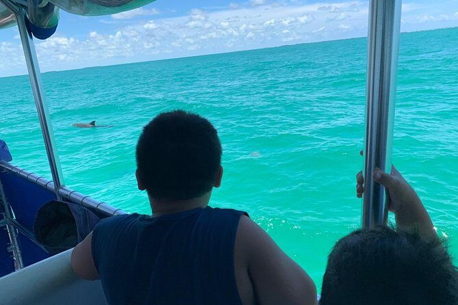 Key West Dolphin Watch and Snorkel Tour - Eco Adventure - Price and Value: Is $79.95 a Smart Deal?
