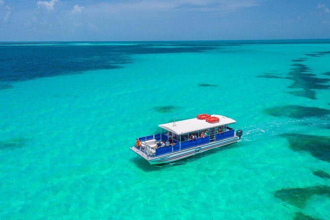 Key West Dolphin Watch and Snorkel Tour - Eco Adventure - Who Should Book This Tour (And Who Might Prefer Something Else)