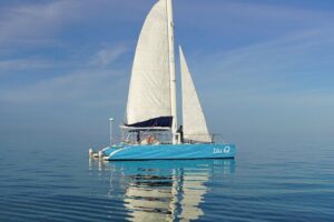 Key West Dolphin Watch and Sunset Sail on Catamaran - Dolphin Searching: What to Expect and Why the Guarantee Doesn’t Apply