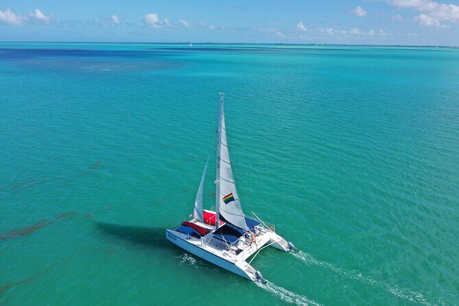 Key West Dolphin Watch and Sunset Sail on Catamaran - Who Should Book This Dolphin + Sunset Catamaran