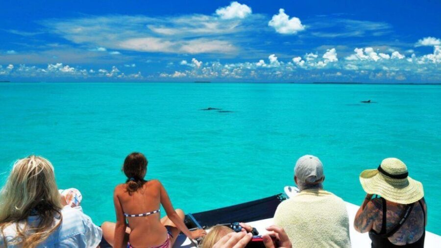 Key West: Dolphin Watching and Snorkeling Eco Cruise Tour - Key highlights worth your attention