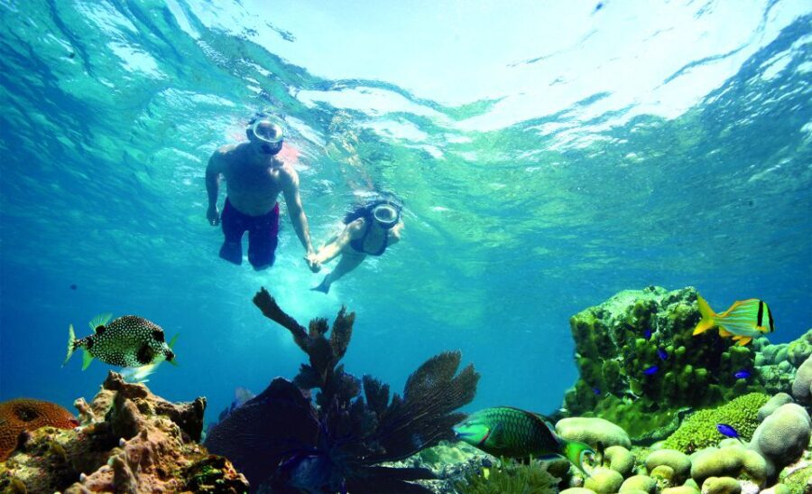 Key West: Dolphin Watching and Snorkeling Eco Cruise Tour - Dolphin watching and snorkeling in Key West, without the hassle