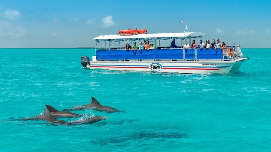 Key West: Dolphin Watching and Snorkeling Eco Cruise Tour - Stop by stop: how the 3-hour flow actually feels