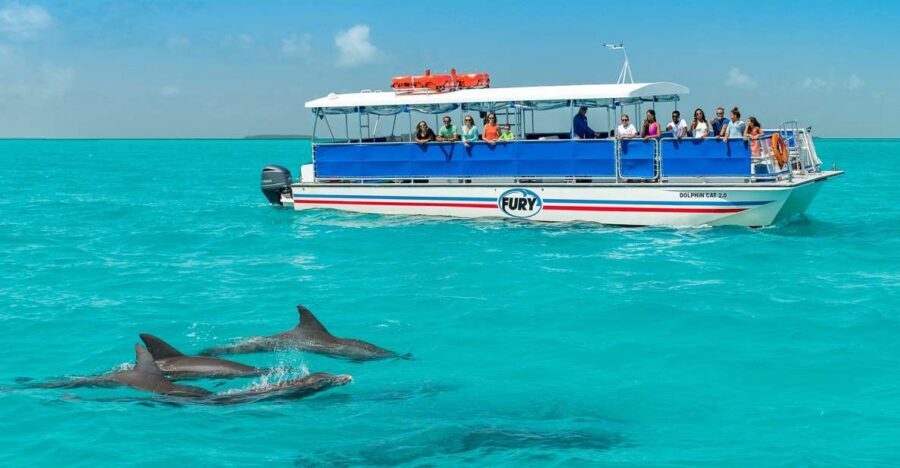 Key West: Dolphin Watching and Snorkeling Eco Cruise Tour - Onboard drinks, shade, and why this tour feels comfortable