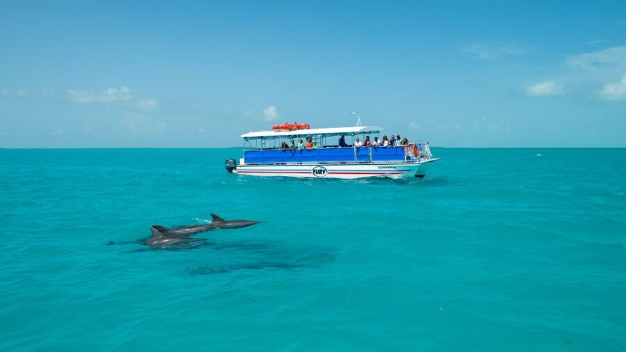 Key West: Dolphin Watching and Snorkeling Eco Cruise Tour - Sunset timing: the best excuse to book later in the day