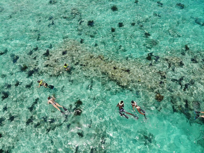 Key West: Dolphin Watching and Snorkeling Sunset Cruise - Key highlights worth knowing before you go