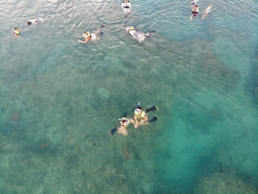 Key West: Dolphin Watching and Snorkeling Sunset Cruise - Price and value: what $79 buys you in a 3-hour plan