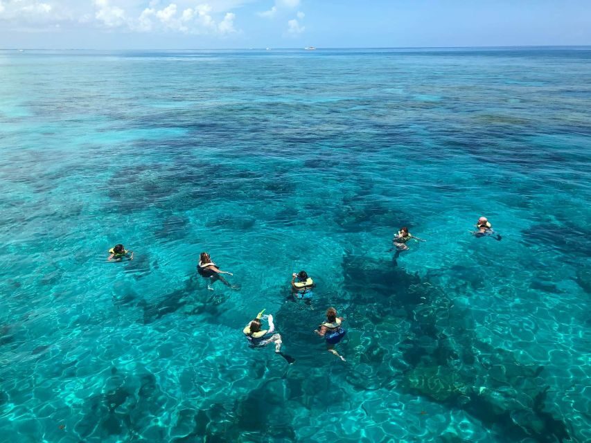 Key West: Dolphin Watching and Snorkeling Sunset Cruise - Should you book this Key West dolphin watching and snorkeling sunset cruise?