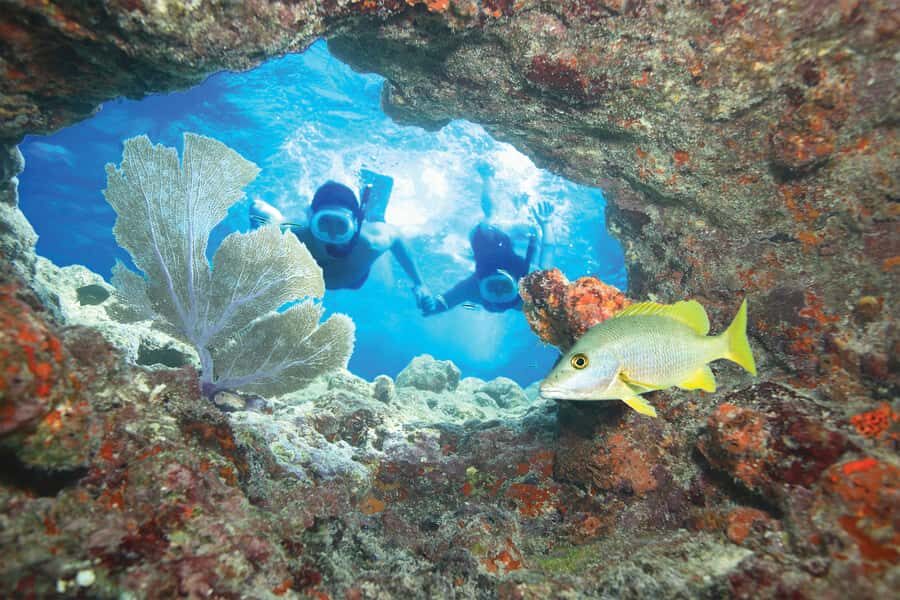 Key West Double Dip: 2-Stop Reef Snorkeling Trip - Two Snorkeling Stops on Key West’s Living Reef