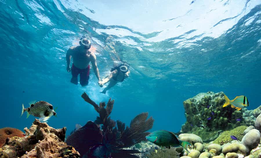 Key West Double Dip: 2-Stop Reef Snorkeling Trip - Stop Two: A Second Reef Location for More Fish Chances