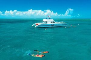 Key West Double-Dip Snorkel Tour-Two Stops, Twice the Fun! - Greene Street Check-In: Getting Oriented Without Losing Time