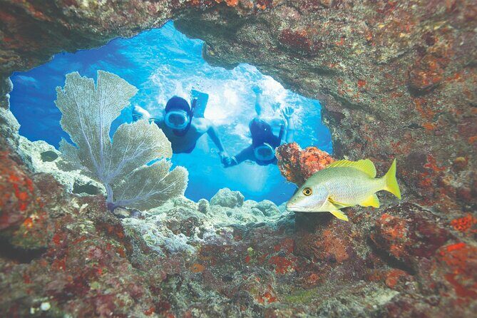Key West Double-Dip Snorkel Tour-Two Stops, Twice the Fun! - Snorkeling Instruction + Gear: What You Get and Why It Matters for Beginners