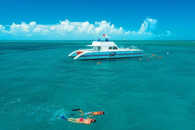 Key West Double-Dip Snorkel Tour-Two Stops, Twice the Fun! - Greene Street Check-In: Getting Oriented Without Losing Time
